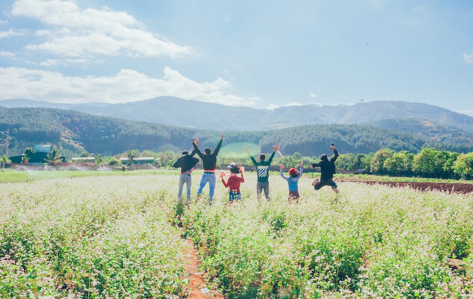 A group of diverse travelers exploring a scenic landscape